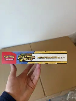 Pokemon TCG Mega Evolution Ascended Heroes Mega Feraligatr ex Box English - Image 3