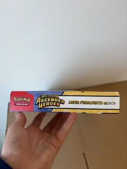 Pokemon Mega Evolution Ascended Heroes Mega Feraligatr ex Promo Box English - Image 3