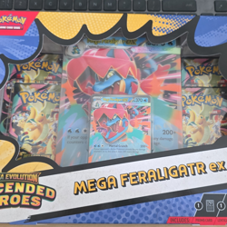 Pokemon TCG Mega Evolution-Ascended Heroes Mega Feraligatr EX Box Promo 2014 - Image 1