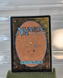 MTG Flash Photography (Borderless) Foil FIC 463 - FF Magic The Gathering Card - Image 2