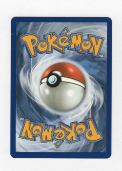Pokemon TCG: First Partner Illustration Collection Series 2 - Galar Grookey #052 - Image 2