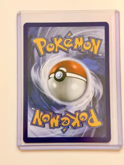 Pokemon Squirtle IR Holo 148/142 Stellar Crown Illustration RARE NM - Image 3