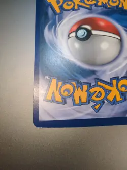 JUMBO Pokemon Zoroard Holo Black Star Promo 2011 RARE!! - Image 4