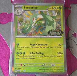 Pokemon Perfect Order STAFF Promo Sealed Doublade Serperior Barbaracle Tyrantrum - Image 1