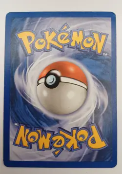 Teddiursa 109/144 | Skyridge E-Series | NM | Pokemon TCG - Image 2