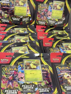 Lot Of (10) Perfect Order 3 Pack Blister [Chikorita] - ME03: Perfect Order - Image 2