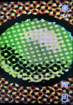 Terrasymbiosis (Borderless) Edge of Eternities Regular - Image 3