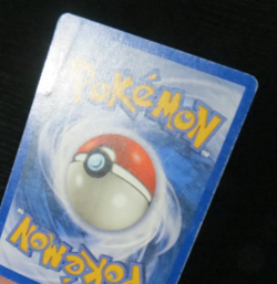 Pokemon Skyidge Piloswine Non-Holo Rare 24/144 Yuka Morii - Image 3