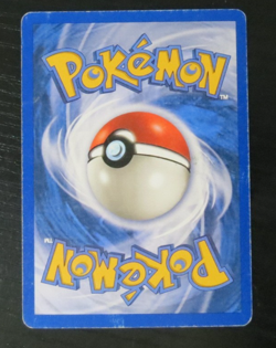 Pokemon Skyidge Piloswine Non-Holo Rare 24/144 Yuka Morii - Image 4