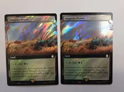 MTG Sungrass Prairie Fallout Surge Foil x2 Rare 1041 - Image 1