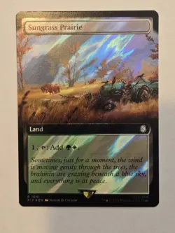 MTG Sungrass Prairie Fallout Surge Foil x2 Rare 1041 - Image 2