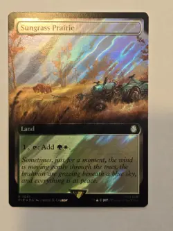 MTG Sungrass Prairie Fallout Surge Foil x2 Rare 1041 - Image 3