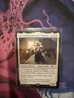 NM Greymond, Avacyn's Stalwart, MTG, Secret Lair, Magic the Gathering, 18 - Image 1