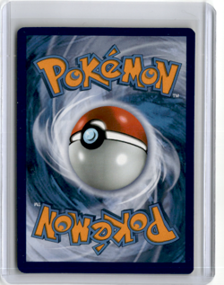 Numel (Peelable Ditto) 013/078 Holo Common Pokemon GO Pokemon NM - Image 2