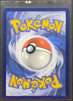 Raihan TG27/TG30 Silver Tempest Trainer Gallery Pokemon 2022 - Image 2