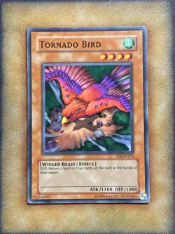 Yugioh Tornado Bird TP5-EN012 Common NM - Image 1