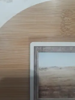 MTG - Revised (1994) - Savannah - Long Crack In The Midle Of The Card. - Image 2