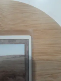 MTG - Revised (1994) - Savannah - Long Crack In The Midle Of The Card. - Image 3