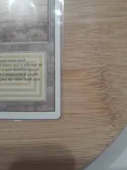 MTG - Revised (1994) - Savannah - Long Crack In The Midle Of The Card. - Image 4