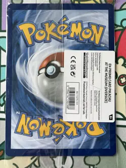 Pokemon TCG Pikachu At The Museum Jumbo Promo Card 2026 - Sealed - New - Image 2
