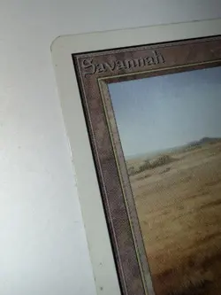 Magic: The Gathering - Savannah Unlimited Edition - Moderate Condition - Image 5
