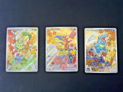 Pokemon First Partner Illustration Collection Series 2 Johto Gen 2 Set - Image 1