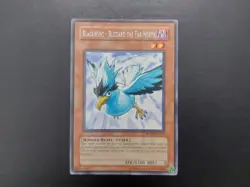 Yugioh - Blackwing - Blizzard the Far North RGBT-EN010 Rare - Image 1