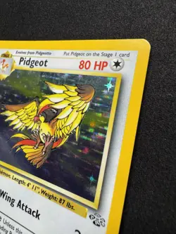Pidgeot 8/64 Jungle Holo Rare Vintage WOTC Pokemon TCG Cards - Image 3