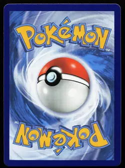 Raihan 224/203 Rainbow Rare Evolving Skies Pokemon Card - Image 2
