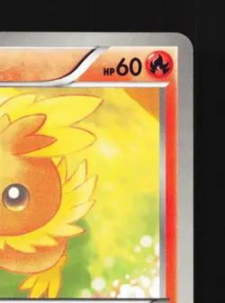 Torchic 010/069 Dark Rush NM 1st ED Japanese Pokemon Card TCG - Image 5