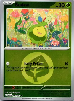 Budew (Energy Symbol Pattern) 016/217 Ascended Heroes Pokemon Reverse Holo NM - Image 1