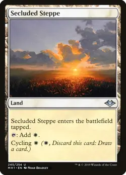 MTG Foil - Secluded Steppe - 245 / NM / English - Image 1