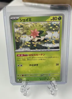 Shaymin (006/063) Sv9a: Heat Wave Arena Regular (Japanese) TCG - Pokemon Card 🍃 - Image 1