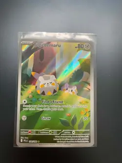Togedemaru - Illustration rare - Pokemon TCG - Phantasmal Flames - 104/094 - Image 1