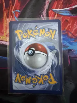 Pokemon TCG First Partner Illustration Collection Series 1 Gen 3 Starters set - Image 5