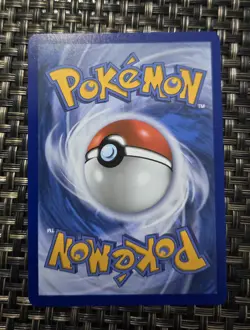 Pokemon TCG First Partner Illustration Collection Series 2 Johto Starters - Image 5