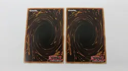 2x LYRILUSC CELESTINE WAGTAIL 1ST EDITION LED8-EN036 ULTRA YUGIOH NM UNPLAYED - Image 2
