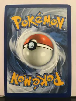 Squawkabilly ex 169/193 Near Mint Condition Card Pokemon TCG! Read Description! - Image 2