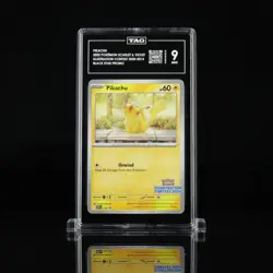 2025 Pokemon - Pikachu - 214 (Illustration Contest 2024) 214 - TAG 9 - Image 1