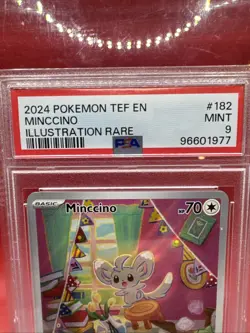 PSA 9 Mint 2024 Pokemon TEF EN Minccino 182/162 Illustration Rare - Image 3