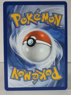 Cinccino ex - double rare - ME: Chaos Rising #073 - POKEMON - NM - A - Image 3