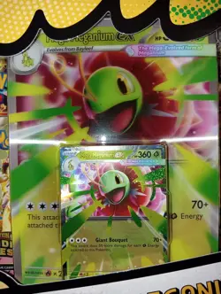 NEW Pokemon Mega Evolutions Ascended Heroes Meganium Ex Box + Eevee Promo Card - Image 4