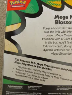 NEW Pokemon Mega Evolutions Ascended Heroes Meganium Ex Box + Eevee Promo Card - Image 5