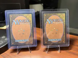 Icetill Explorer Regular Non-Foil x 2 - EOE EN R 0192 - NM / Unplayed - Image 2