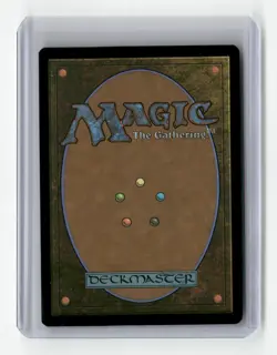 MTG Combat Celebrant 194 Commander: Bloomburrow NM Magic - Image 2