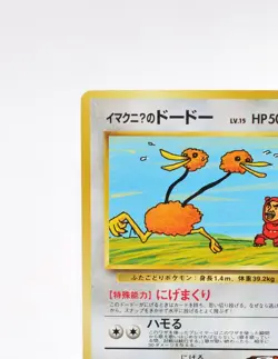 Pokemon Card Imakuni's Doduo No. 084 White Star Promo Gym OLD BACK JAPAN MP - Image 3