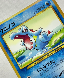 Johto Starter WHF Promo Set Chikorita Cyndaquil Totodile Japanese Pokemon Card - Image 4