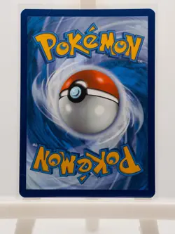 Riolu 010 Holo Promo ME: Mega Evolution Promo Pokemon Near Mint - Image 2