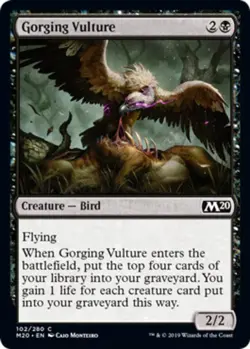 x1 Gorging Vulture - Core Set 2020 (M20) - NM - MTG - Image 1