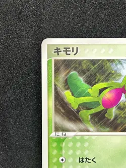 Treecko 015/ADV-P Holo 7Eleven Promo Pokemon card 2003 Nintendo Japanese Rare - Image 2